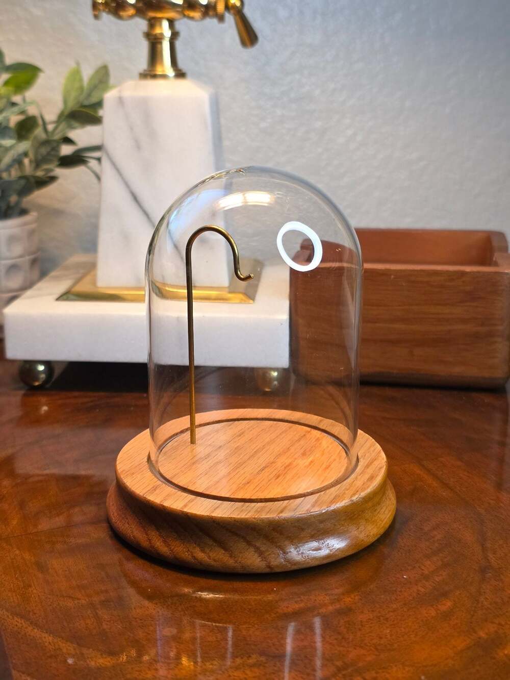 Small Display Glass Dome With Brass Tone Wire Oak Base